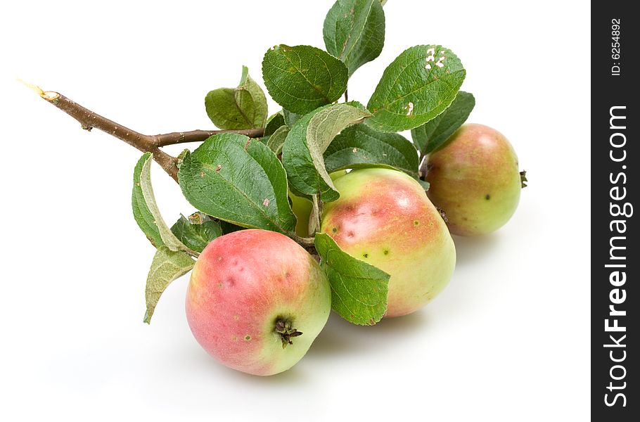 Fresh apple on a white background