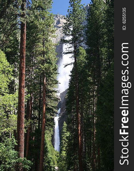 View across the forest on Yosemite falls. Yosemite national park. California. USA. View across the forest on Yosemite falls. Yosemite national park. California. USA