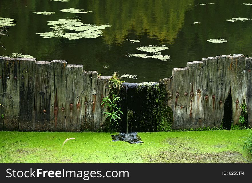 Quiet Pond With Wooden Dam