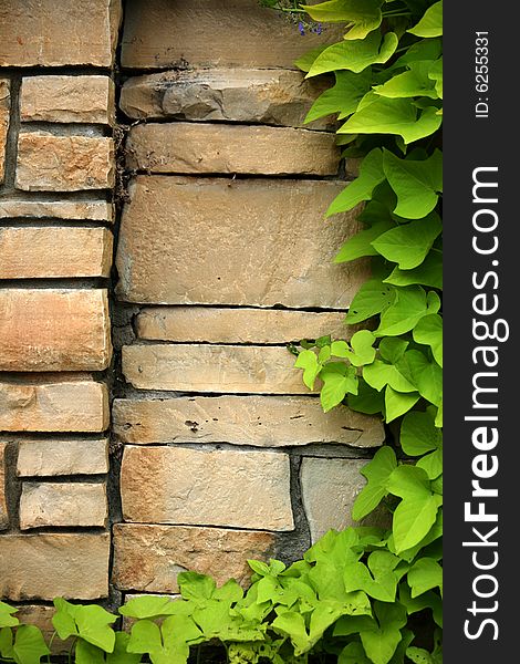 Flagstone wall with climbing ivy, space to add your own print