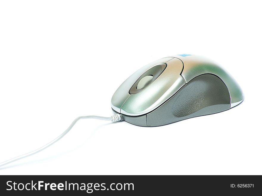 Computer mouse isolated on white background