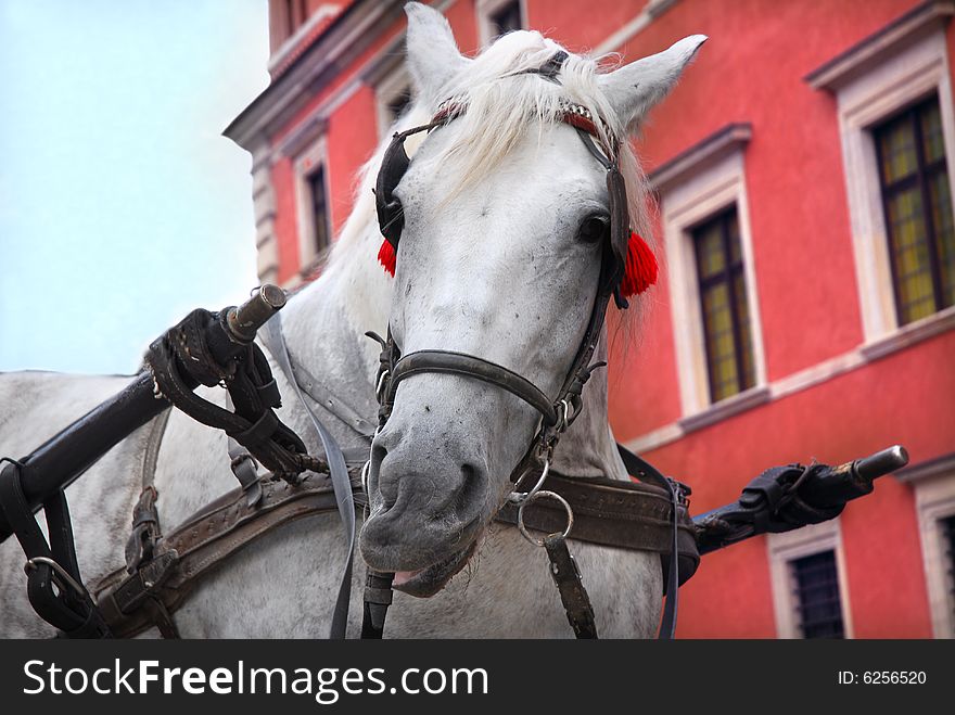 Horse driven carriage in Warsaw Old Town, the Royal Castle is in the background. Horse driven carriage in Warsaw Old Town, the Royal Castle is in the background