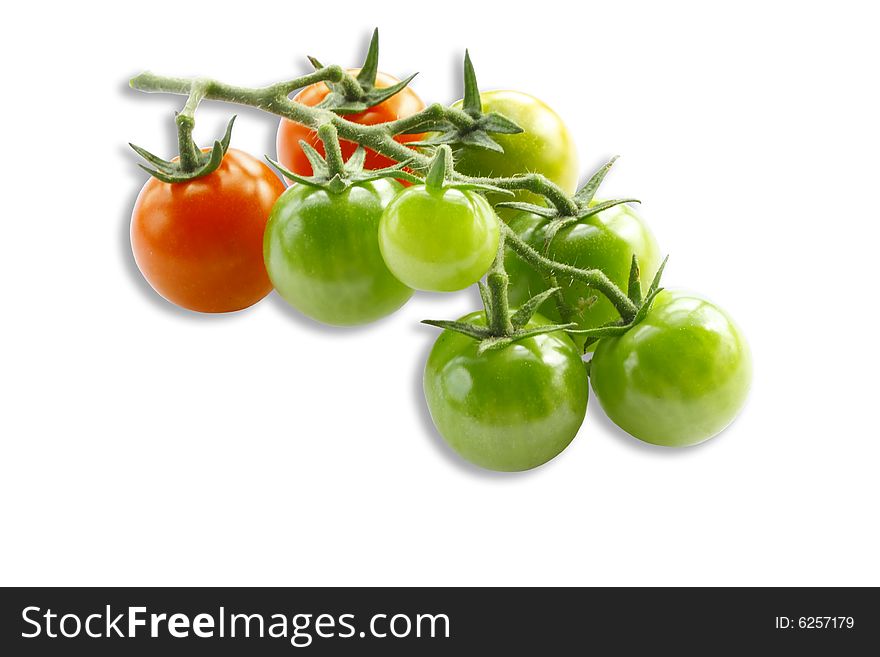 The cluster green and red a tomato is isolated on a white background. The cluster green and red a tomato is isolated on a white background