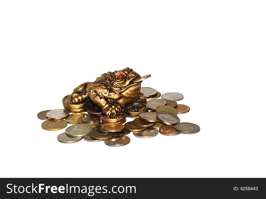 A small toad with coins. A small toad with coins