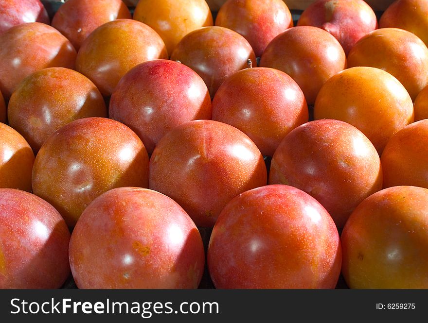 Red plums lined up in a crate. Red plums lined up in a crate