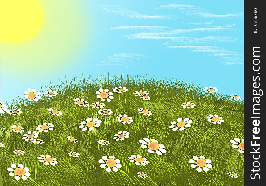 Summer background with white flowers. Illustration.