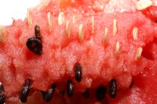 Water Melon Closeup Stock Image Water Melon Closeup Stock Image