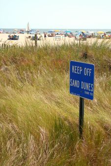 Grassy Sand Dune Stock Images Grassy Sand Dune Stock Images