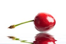 Red Berry Closeup Stock Photo Red Berry Closeup Stock Photo