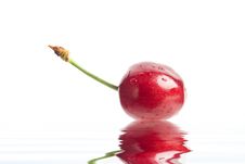 Red Berry Stock Photos Red Berry Stock Photos