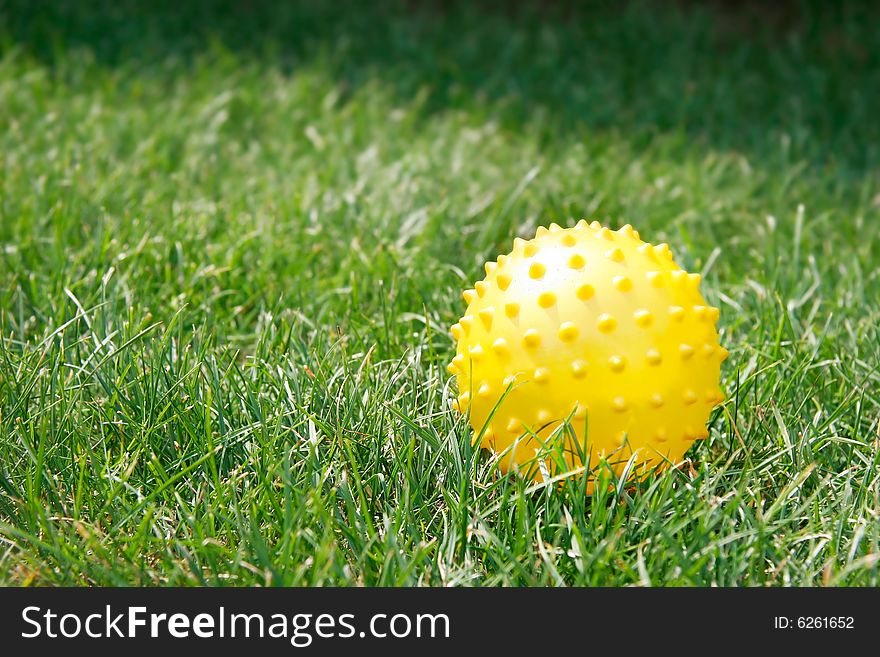 Yellow ball in green grass. Yellow ball in green grass
