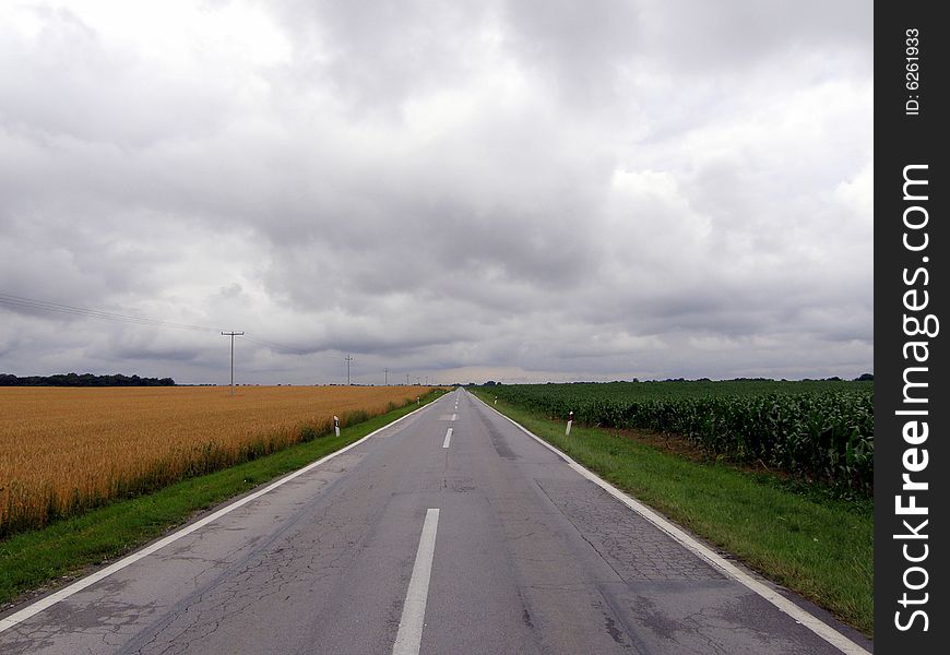 Road Across Wheat Fields