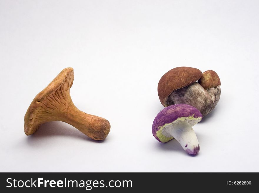 Artificial mushrooms on a white background