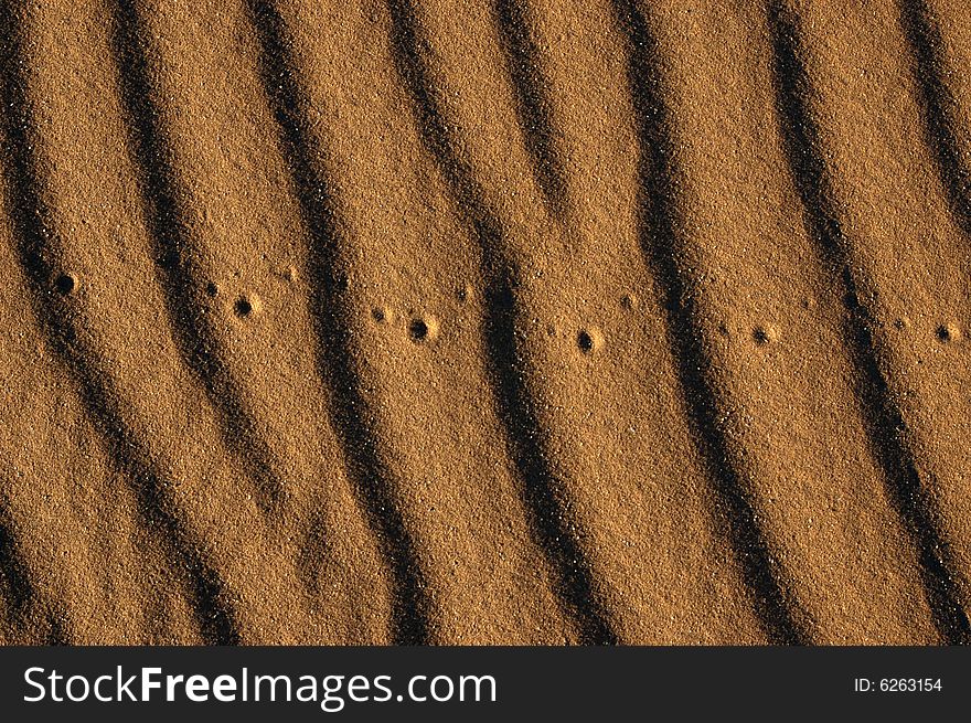 Desert sand with insect footprints