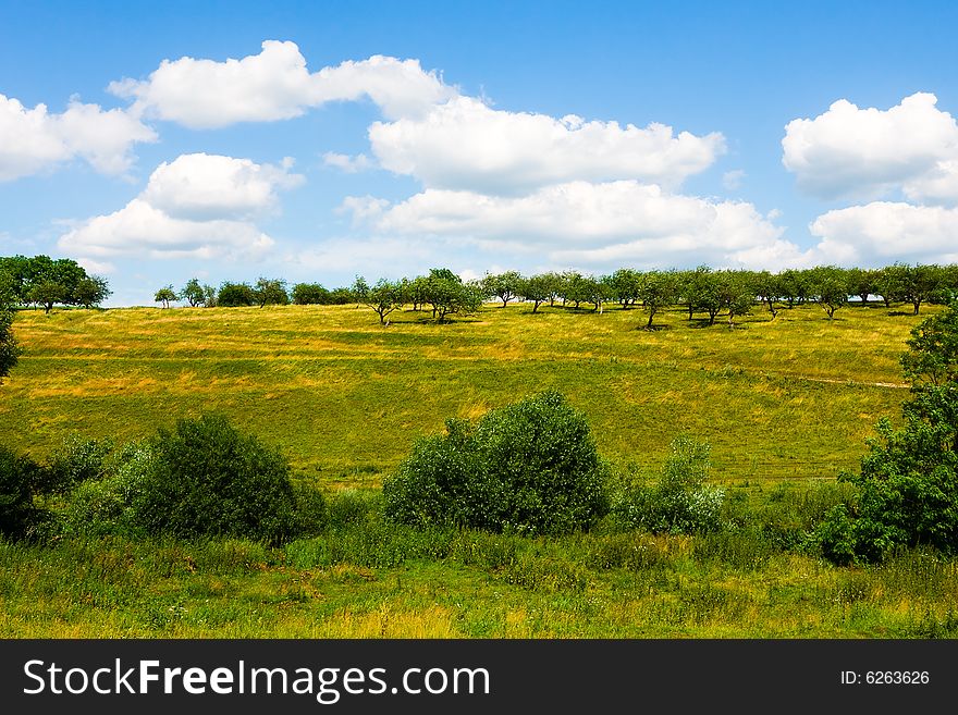 Grassland and cloudy sky