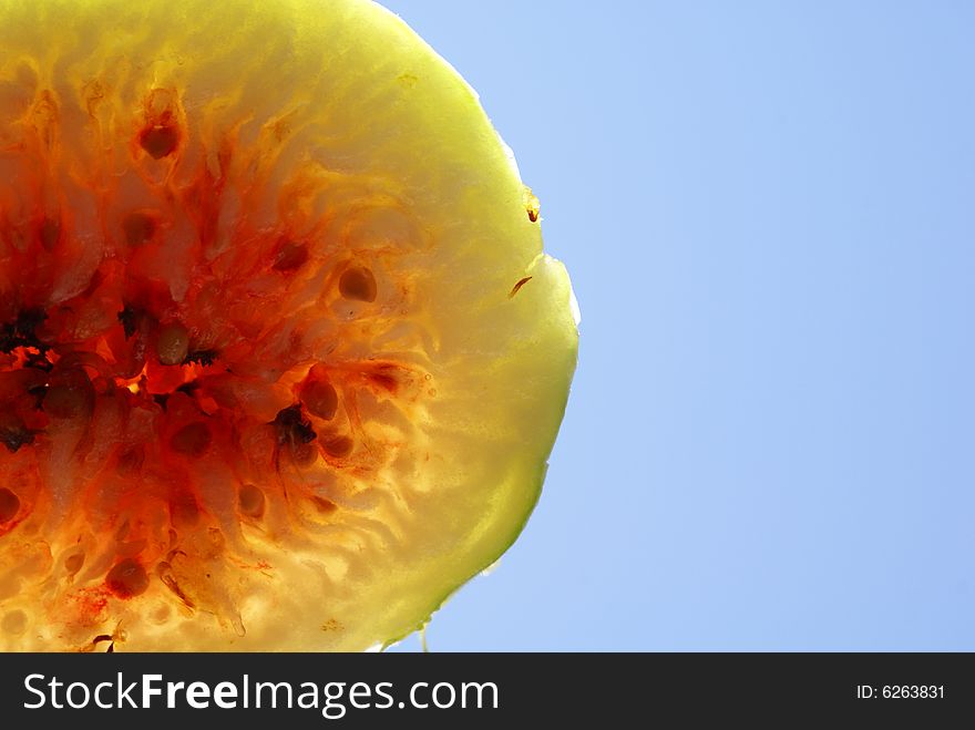 Fresh fig isolated close-up