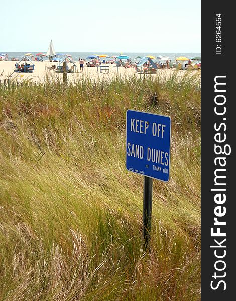 A blue sign reading keep off sand dunes stuck into a sand dune covered with windswept marram grass, with a crowded beach, sailboat, and ocean in the background . A blue sign reading keep off sand dunes stuck into a sand dune covered with windswept marram grass, with a crowded beach, sailboat, and ocean in the background