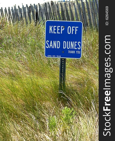 A blue sign reading keep off sand dunes stuck into a sand dune covered with windswept marram grass, with a wooden picket fence behind it