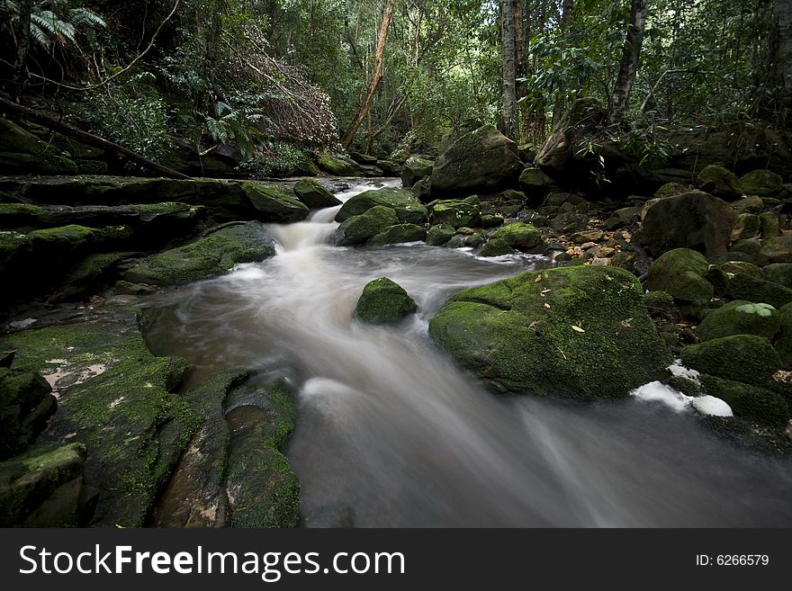 Stream running through Brisbane Water National Park, Central Coast NSW Australia. Stream running through Brisbane Water National Park, Central Coast NSW Australia