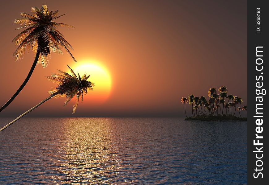 Sunset coconut palm trees on small island
