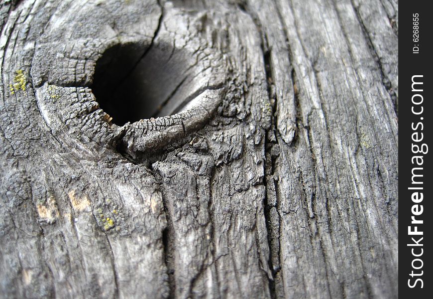 Old wooden board. With degradation along the edges of a picture. Old wooden board. With degradation along the edges of a picture.