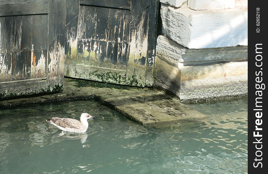 Streets And Canals Of Venice