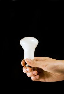 Hand Holding Light Bulb Royalty Free Stock Images Hand Holding Light Bulb Royalty Free Stock Images