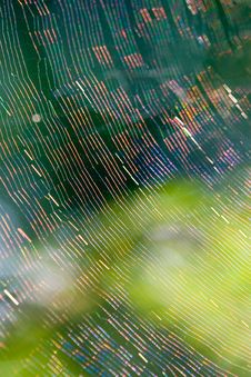 Colourful Web Abstract Royalty Free Stock Photography