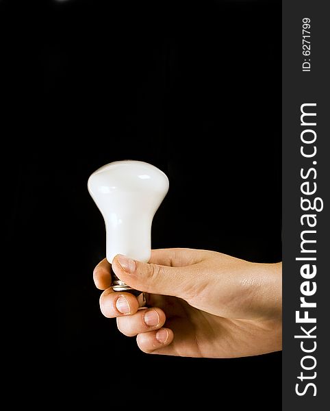 Hand holding white light bulb. Hand holding white light bulb