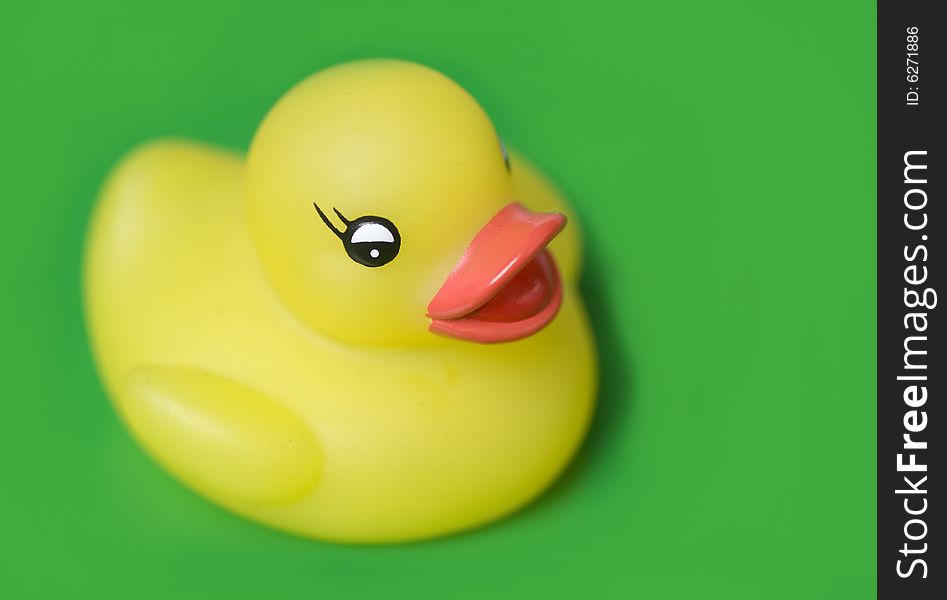 Classic Yellow plastic duck set against green background