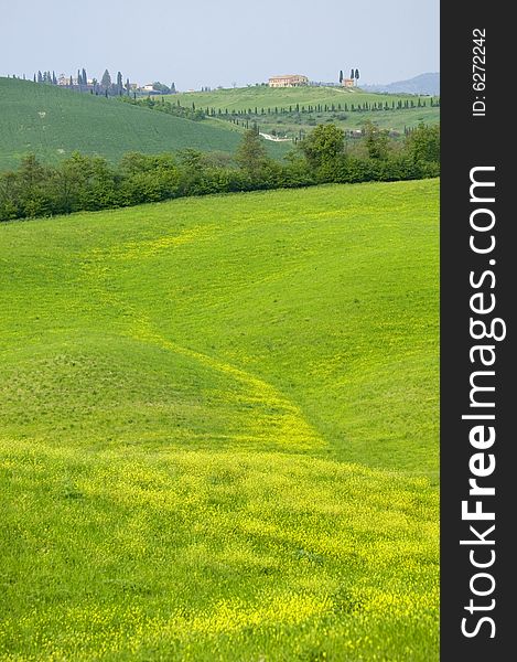 Vally in tuscany landscape on summer