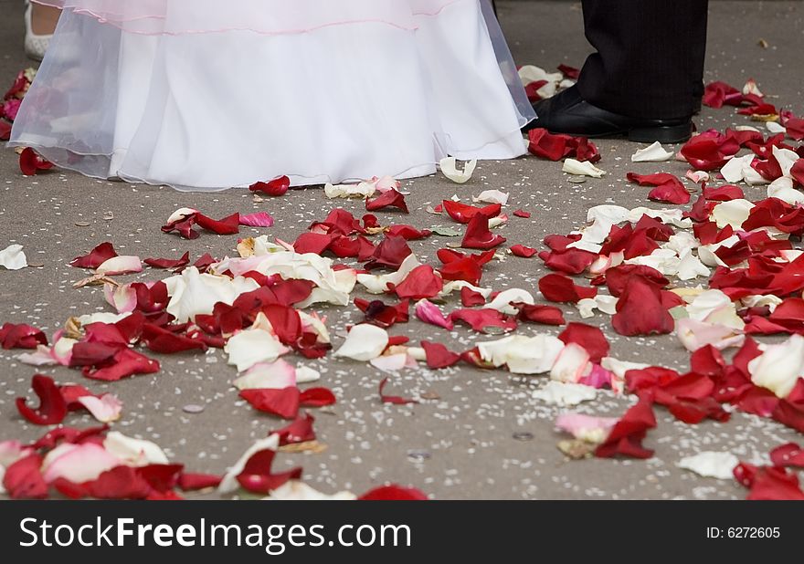 Petals of roses at feet of married couple