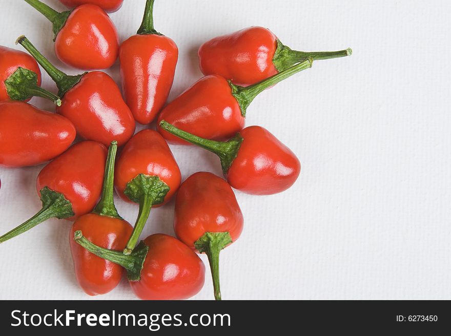 Bright red chillies on a white background