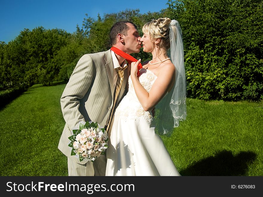 Young bride and groom kissing in the park. Young bride and groom kissing in the park