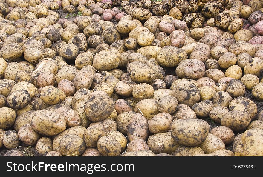 The image of the potato scattered by the ground