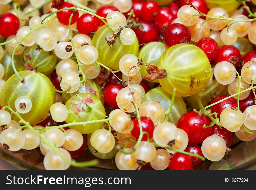 Red and white currants background
