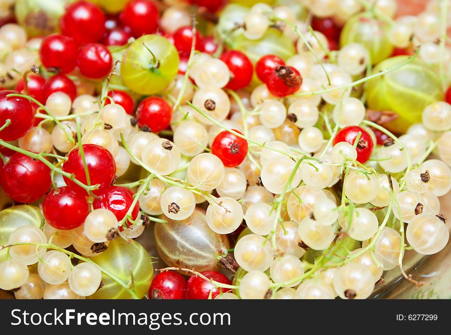 Red and white currants background