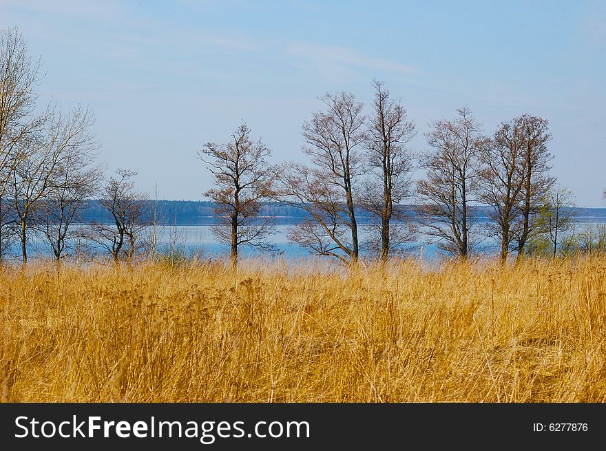 Field with a yellow last year's grass, trees and lake behind them, in a sun day early in spring. Field with a yellow last year's grass, trees and lake behind them, in a sun day early in spring