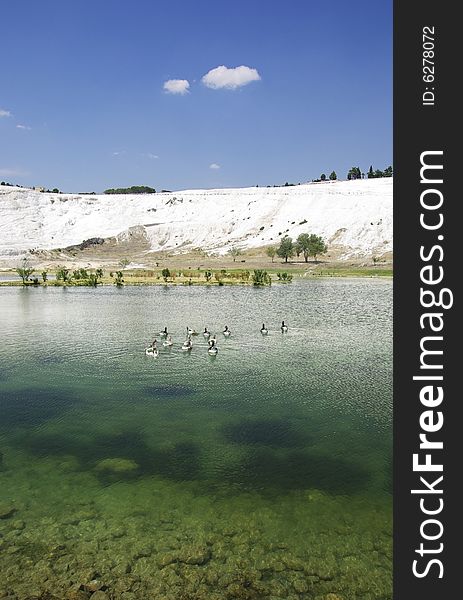 Lake In Pamukkale. Ducks On Water.