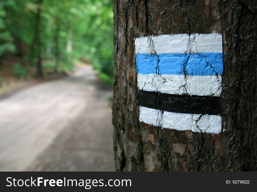 Black and blue hiking trail, sign on tree