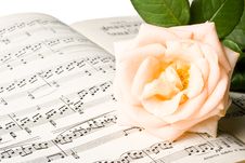 The Rose On Notes Stock Photo The Rose On Notes Stock Photo