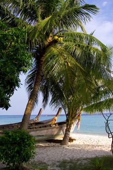 Coco Palms On The Beach Royalty Free Stock Photo Coco Palms On The Beach Royalty Free Stock Photo