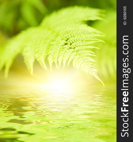 Green leaves reflected in rendered water