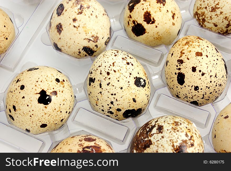 Closeup of pack of quail eggs