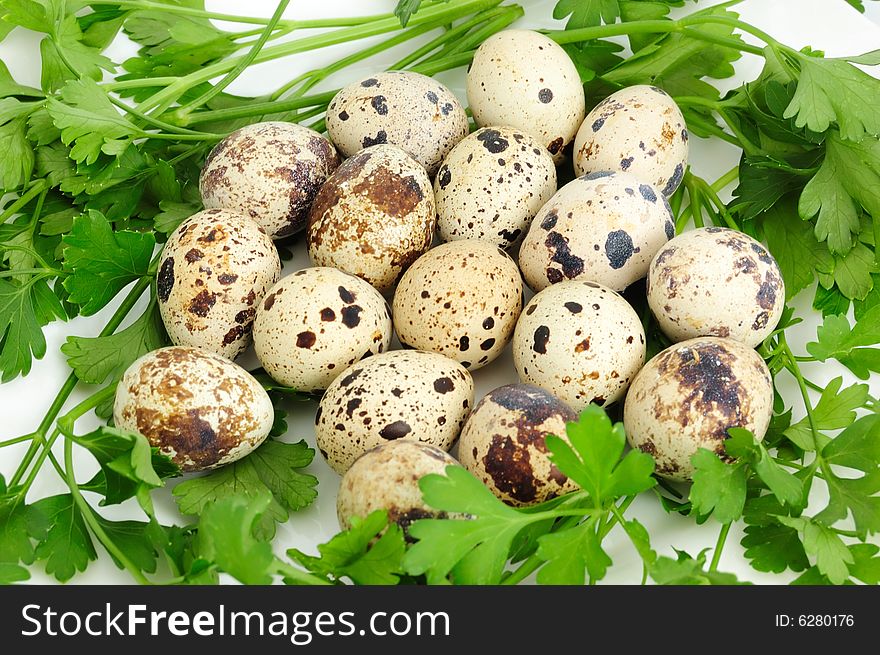 Closeup of set of quail eggs