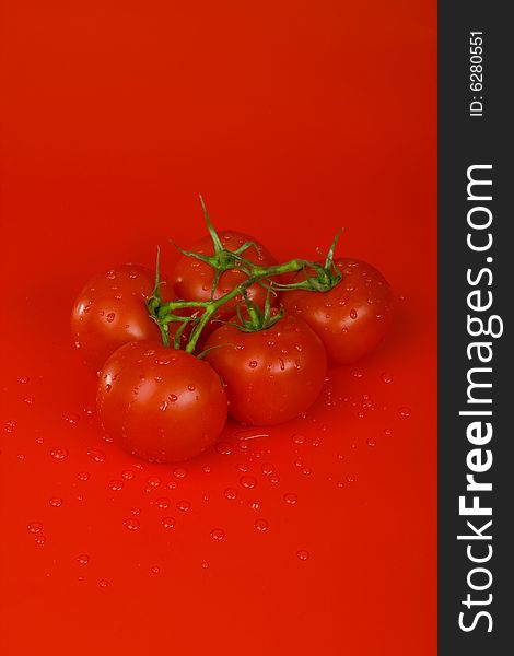 Branch of red tomatoes with drops. Branch of red tomatoes with drops