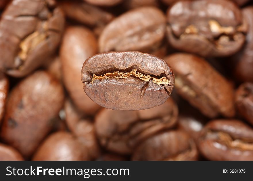 Some grains of coffee, macro. Some grains of coffee, macro.