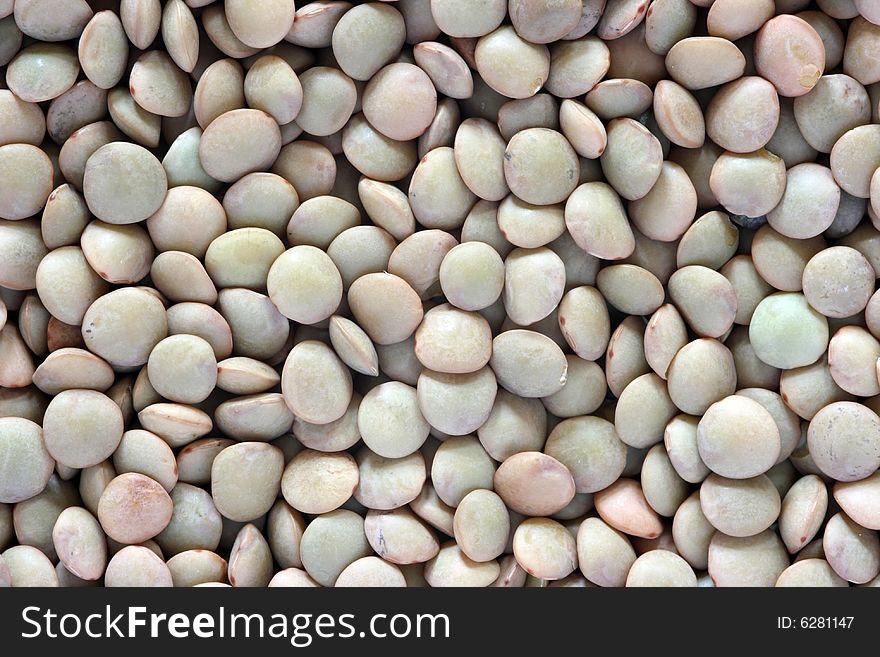 The dried up grains of lentil