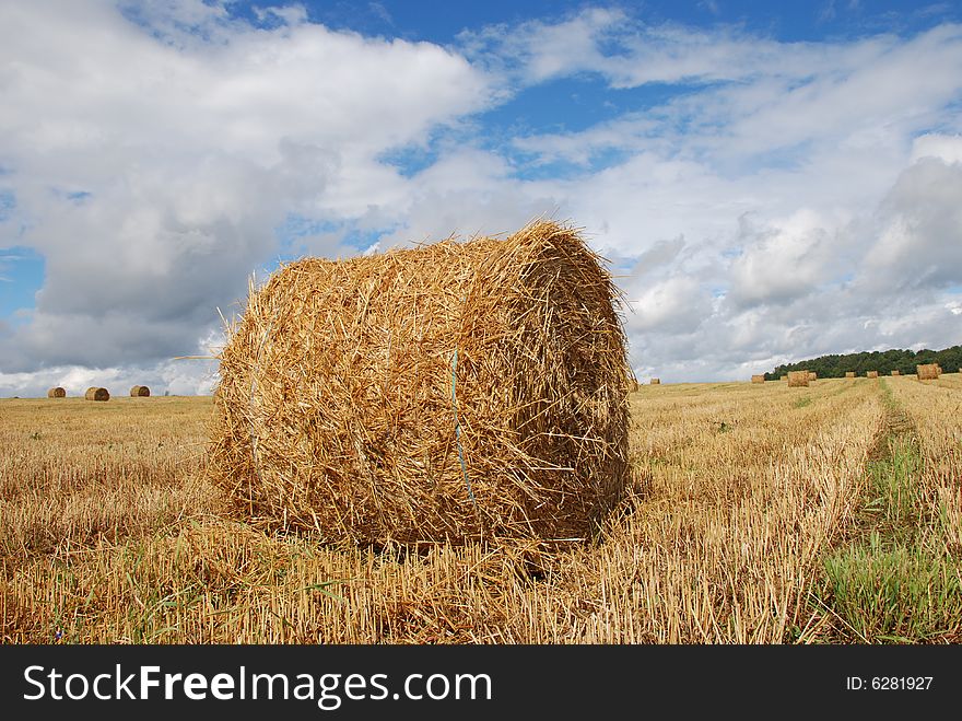 Agricultural landscape of straw bales in a field