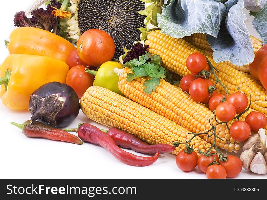 Vegetables on white background